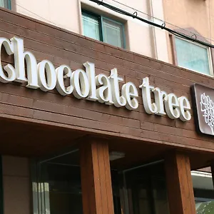 Chocolate Tree 首爾